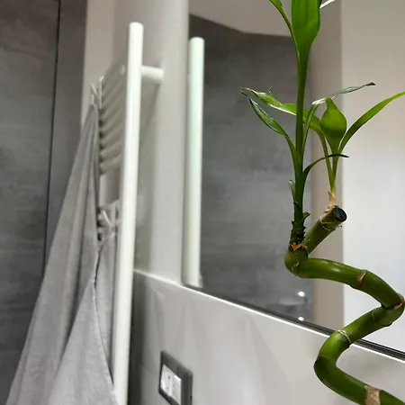 Apartman La Casa Sul Tetto Cogorno
