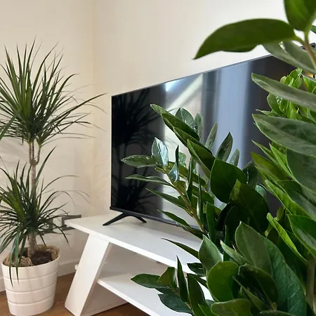 Apartman La Casa Sul Tetto *